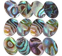 MERRYHAPY 12Pièces Cabochons de Coquille Ormeau Accessoires pour Bijoux Charmes pour Colliers et Boucles Oreilles Créatifs et Résistants pour Artisanat DIY