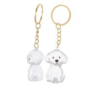 MERRYHAPY 2 Pièces Porte-clés Commémoratif Chien Transparent Boîte Compacte pour Conservation Poils Animaux Protection Humidité et Poussière Souvenir Portable pour Mémoire Fidèle