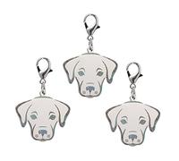 MERRYHAPY 3pièces Médaille Identification pour Chien Plaque De Nom Personnalisée avec Design Original Forme De pour Labrador Et Animaux De Compagnie