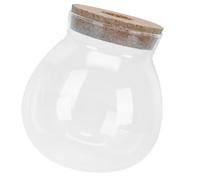 MERRYHAPY Bouteille en Verre pour Micro-Paysage Terrarium Contenant Décoratif Pot en Verre pour Plantes en Mousse