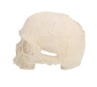 MERRYHAPY Décoration Aquarium Crâne Réaliste Résistante pour Cachette Reptile Lieu de Détente Lézard Serpent Ornement Squelette Maison Poisson