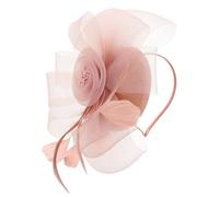 MERRYHAPY Fascinator Vintage Tulle Et Plumes Accessoire Élégant Pour Mariage Tea Party Et Événements Spéciaux Bandeau Chic Et
