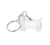 MERRYHAPY Porte-Clés Souvenir pour Poils D’Animaux en Plastique Boîte de Rangement Compacte de Chiot Corgi Accessoire Commémoratif Léger et Portable pour Collection de Poils de Chien