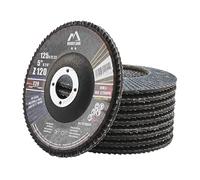 Merryland Disque à Lamelles 125 Métal pour Meuleuse d'Angle, 125mm Grain 120 T29 Disques à Rabat 10 Pièces, Corindon Bleu de Zirconium INOX Acier Fer Disques Abrasifs, Craft-Line FC1108614-10