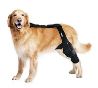 MerryMilo Genouillère pour chien pour blessure à la jambe arrière du LCA et du CCL - Support ligament croisé canin pour la stabilité et la récupération des articulations - Protecteur réglable en