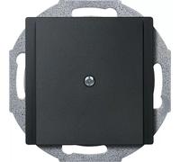 Merten 295614 Plaque murale/couvercle d'interrupteur anthracite (295614)