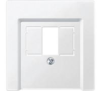 Merten 297919 Plaque centrale pour TAE/audio/USB, blanc polaire, système M