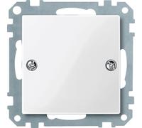 Merten 461819 Couvercle aveugle pour fabrication spéciale communication/EDV, blanc polaire brillant Système M