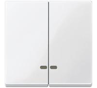 Merten Bascule double, Bouton + interrupteur, Blanc