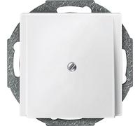 Merten Cache System M blanc polaire 295619 1 pc(s)