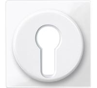 Merten Cache System M blanc polaire 319519 1 pc(s)