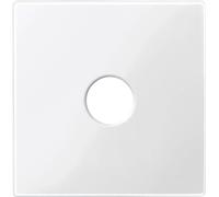 Merten Cache System M blanc polaire 451819 1 pc(s)