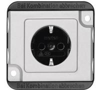 Merten Insert Prise 2P+T argent MEG2300-7060 1 pc(s)