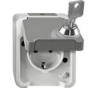 Merten MEG2416-8029 Prise de courant de sécurité avec protection contre les contacts accidentels, verrouillable avec différentes fermetures, gris clair, AQUASTAR