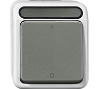 Merten MEG3112-8029 Interrupteur, 2 pôles, gris clair, AQUASTAR