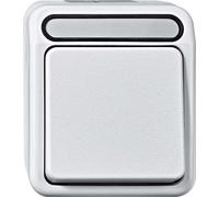 Merten MEG3156-8029 Bouton-poussoir avec borne N, inverseur unipolaire, gris clair, AQUASTAR