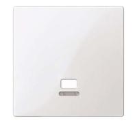 Merten Plaque Centrale avec fenêtre de contrôle pour Interrupteur à Tirette, système M Blanc Polaire Brillant, meg3380-0319