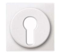 Merten Merten Plaque centrale pws Insert à verrouillage interchangeable 318119 Quantité:1