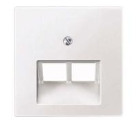 Merten Merten Plaque centrale pws pour usage UAE 298019 Quantité:1