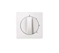 Merten plaque centrale pws 437319