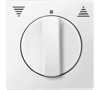 Merten plaque centrale pws 569819