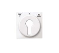Merten plaque centrale pws/gl 319419