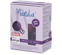Merula Coupe menstruelle Galaxy paars Autre 1 pc(s)