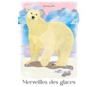 Merveilles Des Glaces
