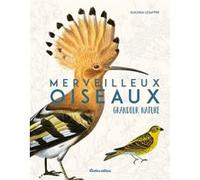 Merveilleux oiseaux grandeur nature Guilhem Lesaffre (Auteur)