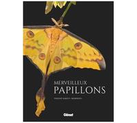 Merveilleux Papillons