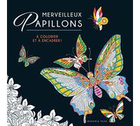 Merveilleux papillons
