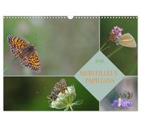 Merveilleux papillons (Calendrier mural 2026 DIN A3 horizontal), CALVENDO calendrier mensuel