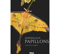 Merveilleux papillons