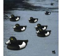 Merzbow - 13 Japanese Birds Vol.6