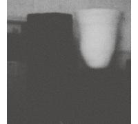 Merzbow - The Prosperity Of Vice, The Misfortune Of Virtue