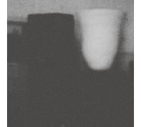 Merzbow - The Prosperity Of Vice, The Misfortune Of Virtue [Compact Discs]