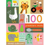 Mes 100 premiers mots