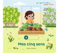 Mes 5 sens Anne Blanchard (Auteur), Ilaria Falorsi (Illustration)