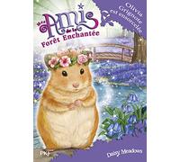 Mes amis de la forêt enchantée - tome 09 : Olivia Grignote est ensorcelée