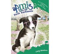 Mes amis de la forêt enchantée - tome 10 : La surprise d'Eva Truffe-Flair