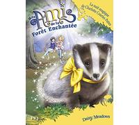 Mes Amis de la forêt enchantée - tome 15 : La nuit magique de Charlotte Courtes-Pattes