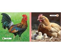 Mes amis les animaux - La ferme