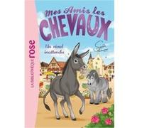 Hachette Livre – Mes amis les chevaux, tome 4 : Un rival inattendu – Broché