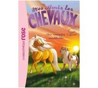 Mes amis les chevaux 06 - Une rencontre inoubliable - Hachette Livre - Bb Rose Verte - broché - Roman cadet dès 6 ans