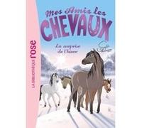 Mes amis les chevaux, tome 7 : La surprise de l'hiver