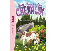 Mes amis les chevaux 08 - Le loup solitaire Hachette Livre (Auteur), Natacha Godeau (Adapté), Sophie Thalmann (Présentateur)