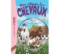 Mes Amis Les Chevaux Tome 12 - Mystère Au Centre Équestre