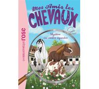 Mes amis les chevaux 12 - Mystère au centre équestre - Hachette Livre - Bb Rose Verte - Poche - Roman cadet dès 6 ans