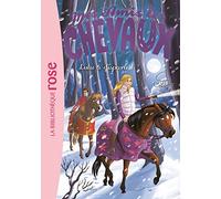 Mes amis les chevaux 15 - Lulu a disparu !