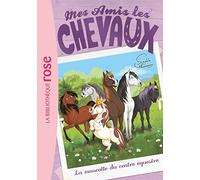Mes amis les chevaux – Tome 18 : La mascotte du centre équestre – Hachette Livre